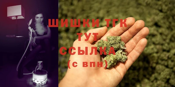 амф Богородицк
