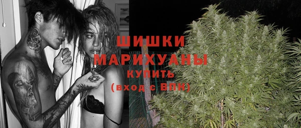 прущий лед Богородск