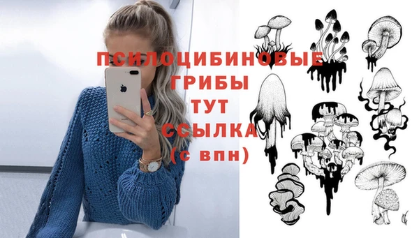 сатива Богданович