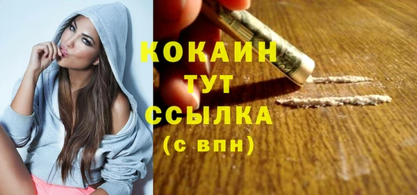 прущий лед Богородск