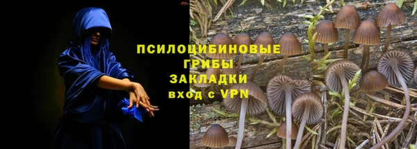 прущий лед Богородск