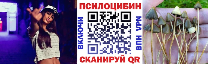 Псилоцибиновые грибы Psilocybe Кириллов